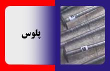 پلوس انواع کامیونت