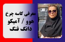 معرفی کاسه چرخ های هوو - دانگ فنگ - آمیکو
