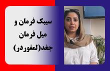 سیبک فرمان ده تن و مایلر برند جغد ( لمفوردر )