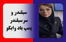 سیلندر و سر سیلندر پمپ باد وابکو