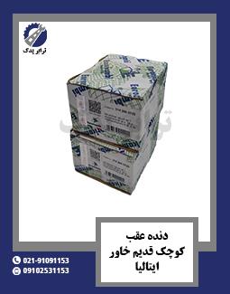 دنده عقب کوچک قدیم خاور ایتالیا