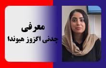 معرفی چدنی اگزوز هیوندا