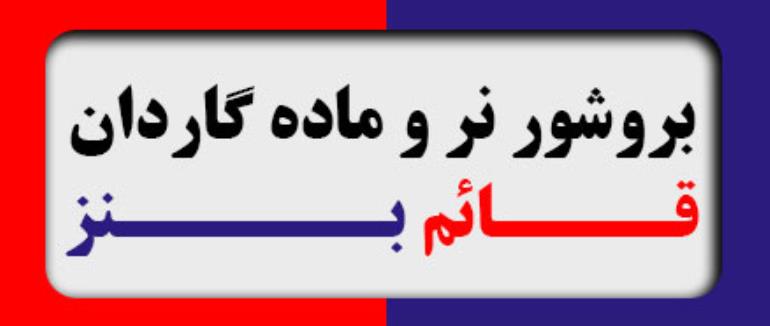 بروشور نر و ماده گاردان